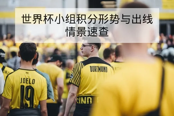 世界杯赛制与小组出线积分规则详解
